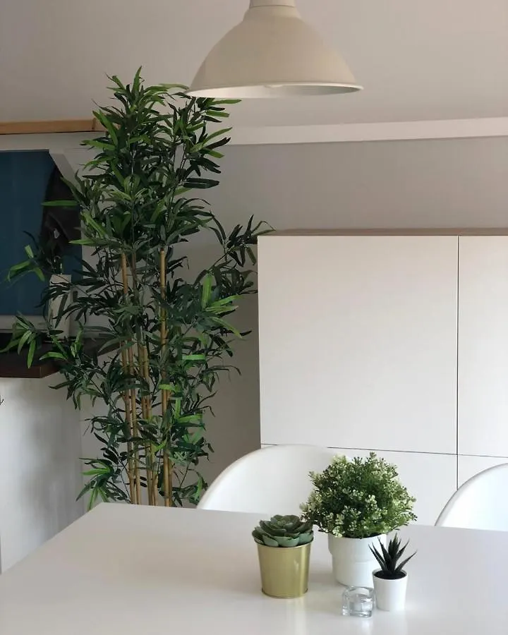 Apartamentos Paraiso Vera Playa: Beachfront Attic with Private Solarium 0*,  Spain